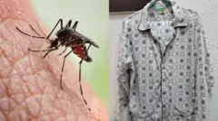 Ẹfọn ati asọ to n pa ẹfọn