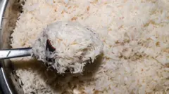 Rice అన్నం