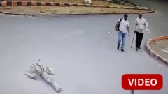 கோவையில் அடுத்தடுத்து 13 வீடுகளில் கொள்ளை