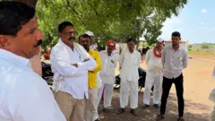 किसानों की परेशानी के बीच मकोका के डर की वजह से कुरैशी समुदाय ने पशुओं की ढुलाई का काम बंद करने का फैसला किया है