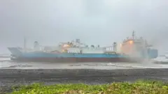 கேமி சூறாவளி
