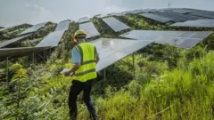 Un homme dans un champ avec des panneaux solaires