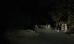 "மரத்துல இருந்து குதிச்சுது": பேய் பயத்தில் நடுங்கும் ஊர் - பின்னணி என்ன?