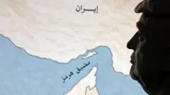 صورة مصممة تظهر الرئيس دونالد ترامب وخريطة توضح مضيق هرمز