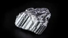 रेअर अर्थ मॅग्नेट