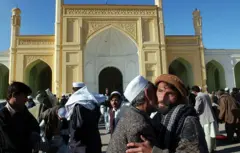 دوه کسان د روغبړ حالت کې 