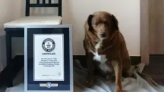 Bobi akiwa na cheti chake cha Rekodi ya Dunia ya Guinness