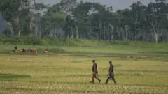 সীমান্ত রেখা