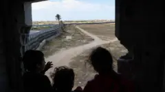 نازحون في مخيم رفح 