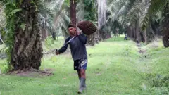 polemik kemitraan inti-plasma