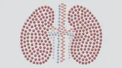 Ilustração de pulmões afetados pela síndrome de Eisenmenger