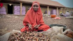 Le Nigéria a interdit l'exportation de la noix de karité pour favoriser le profit des femmes. Mais cette mesure a eu l'effet inverse.