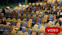 ஐ.நா சபை