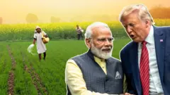 બીબીસી ગુજરાતી, ગુજરાત, બીબીસી, અમદાવાદ, ભારત, અમેરિકા, ટ્રેડ ડીલ ટ્રમ્પ મોદી વેપાર ખેડૂત ખેતી પાક ચોમાસું હવામાન વેપાર