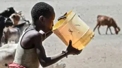 આફ્રિકા