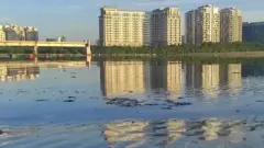 சென்னை அடையாறு மறுசீரமைப்புத் திட்டம், ரூ.744 கோடி என்ன ஆனது?