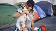 Moradora de rua com cachorro em Los Angeles, com tendas de campanha ao fundo