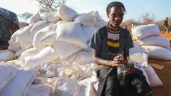 Hongeen hawaasa Booranaa yoo hubu kuni kan duraaf miti.