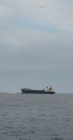 آخرین تحولات درباره تنگه هرمز و محاصره دریایی ایران