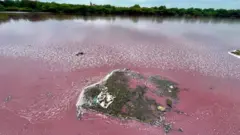 సంగారెడ్డి జిల్లా నల్లకుంట చెరువు 