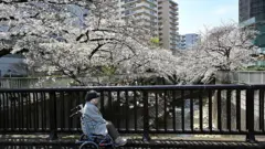Pessoa idosa em rua no Japão