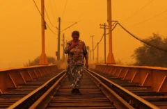 Le Chili a connu des incendies de forêt dans plusieurs régions en février, notamment La Araucanía (photo)