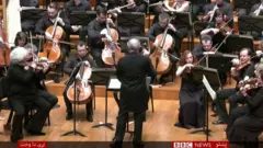 هنري شېبې