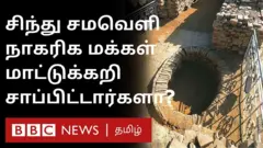 சிந்து சமவெளி நாகரிக மக்கள் மாட்டுக்கறி சாப்பிட்டார்களா?