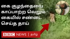 குழந்தையைக் காக்க புலியுடன் சண்டையிட்ட தாய்