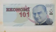ekonomi 101 ve tl