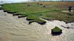 ভোলা একটি উপকূলীয় জেলা