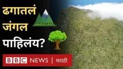 पर्यावरण