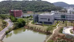 The P4 laboratory (centre) in Wuhan is among a handful of around the world cleared to handle Class 4 pathogens (P4) - dangerous viruses that pose a high risk of person-to-person transmission