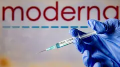 Needle