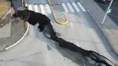 Huge crack running across road in Iceland next to pedestrian crossing