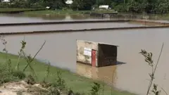 ঘুর্ণিঝড়ের পর চাষের জমিতে পানি