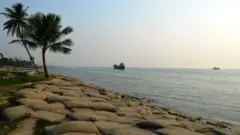 অসংখ্য বালুর বস্তা ফেলে ভাঙন ঠেকানোর চেষ্টা। ছবিটি হরিনা ফেরিঘাট সংলগ্ন গোবিন্দা গ্রামের কাছে তোলা।