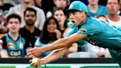 cricket