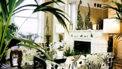 house plants