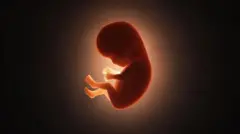 மூன்று பேரின் மரபணுவில் பிறக்கும் குழந்தைகள்