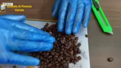 Cocaína em grão de café