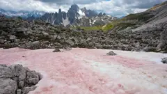 Les neiges rouges apparaissent dans les Alpes à la fin du printemps et au début de l'été, lorsque la fonte des neiges libère les nutriments nécessaires à la croissance des algues