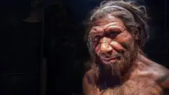 నియాండర్తాల్ మానవుడు