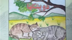 افغانستان