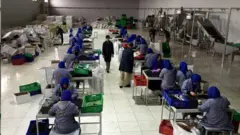 افغانستان، تولیدات داخلی، خودکفایی