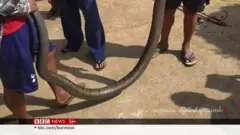 ကန့်ဘလူမြို့နယ်က စစ်ဘေးရှောင်ကြသူတွေနဲ့ မြွေအန္တရာယ်