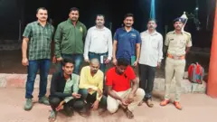 चांदोलीत घोरपडीवर बलात्कार?