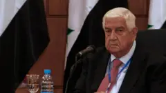وليد المعلم