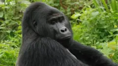 Rafiki yoba yishwe ifise imyaka 25