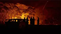 Pipo wey stand by di fire